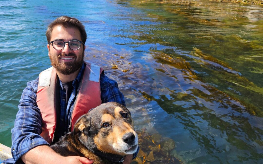 How a Moose’s Diet Led to a Career in Seaweed