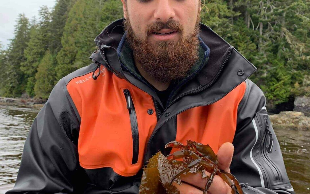 Why Kelp Forests Are Essential for a Sustainable Future