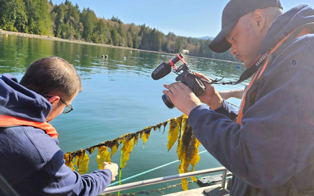 Why We’re Focusing on Seaforestation to Restore Our Oceans